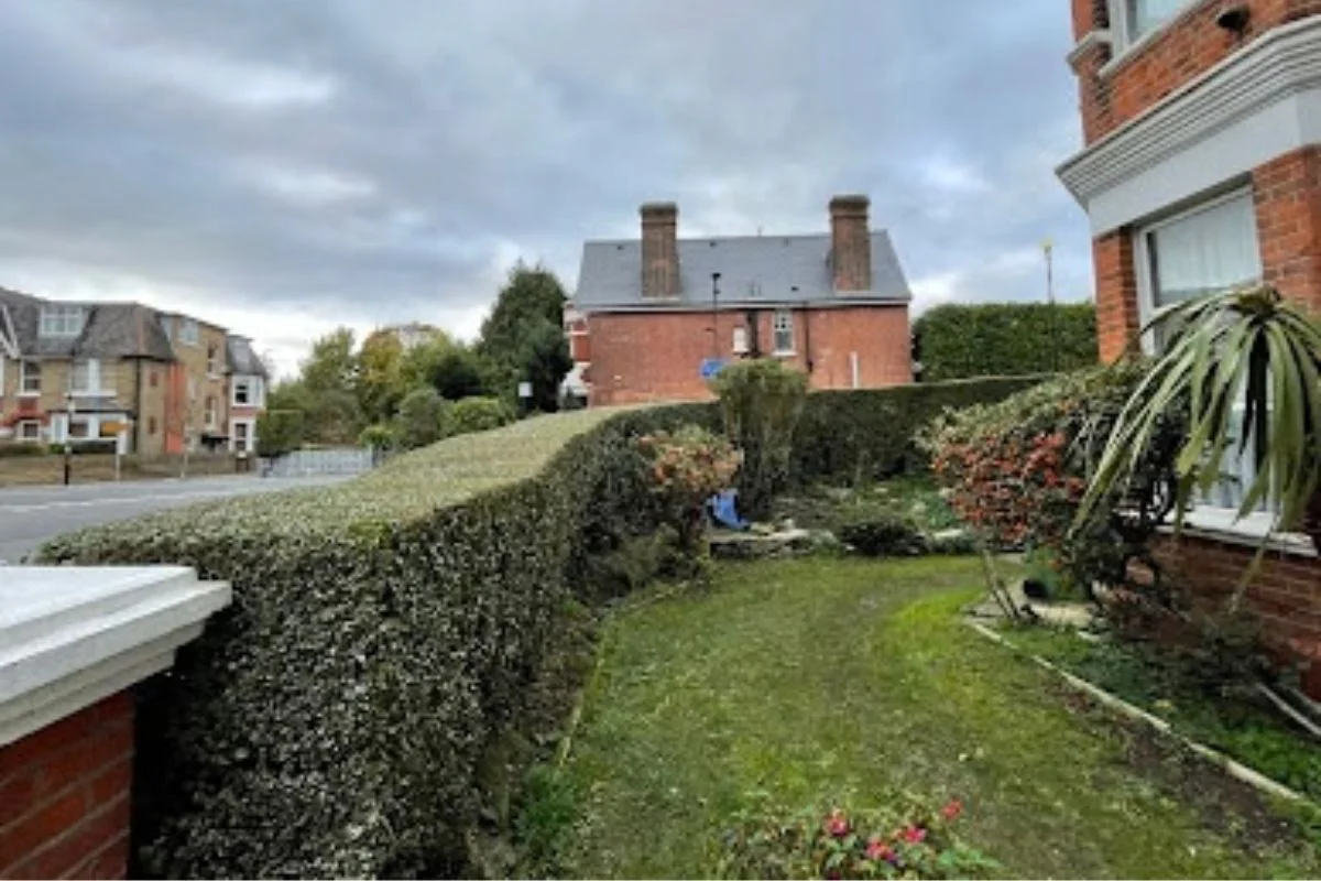 Hedge trimming